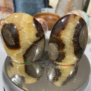 Septarian Nodule Freeform / Dragons Egg
